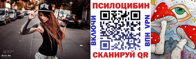 что такое наркотик  Заволжск  Псилоцибиновые грибы Psilocybine cubensis 